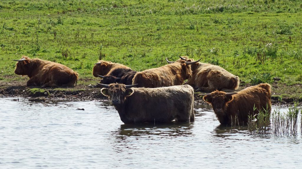 Rondje-Lauwersmeer