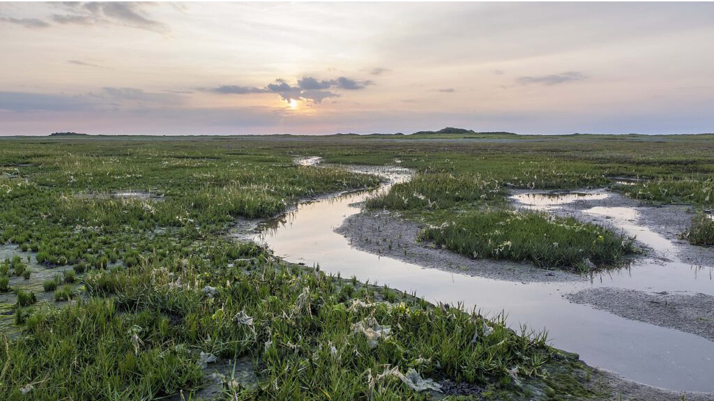 Schiermonnikoog